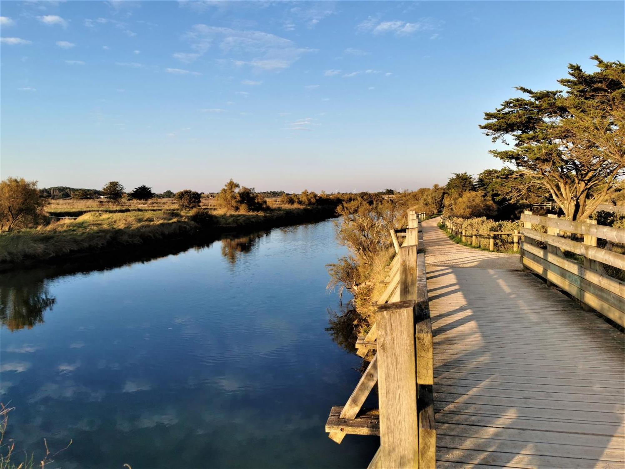 La Lezardiere A Deux Pas Des Quais Villa Les Sables-dʼOlonne Kültér fotó